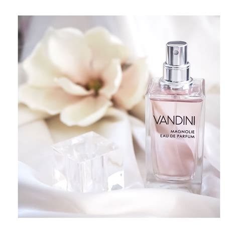 vandini parfum